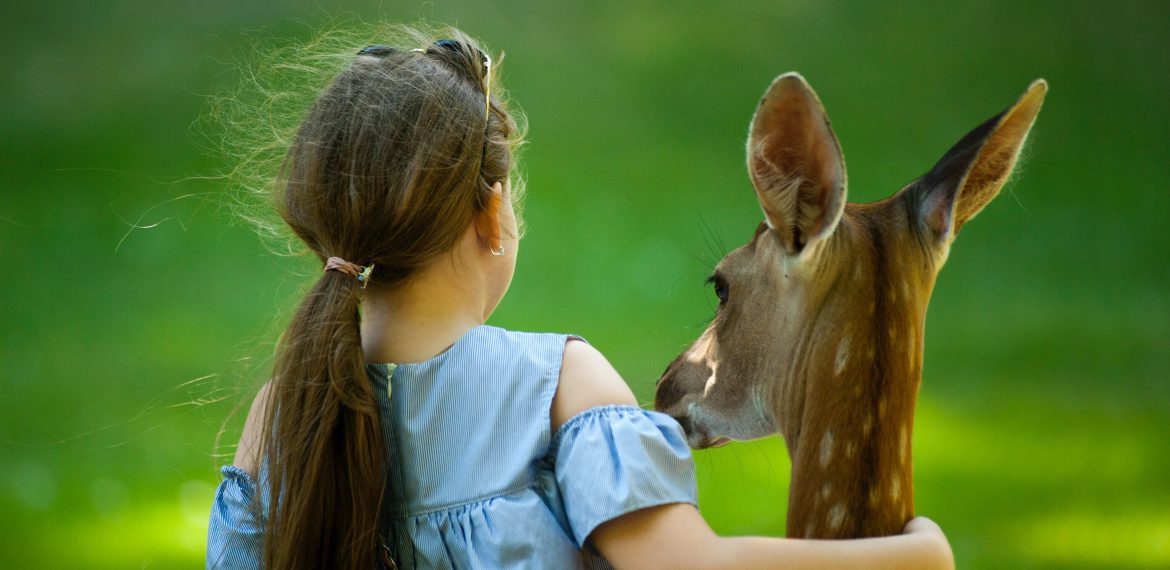 anak-anak bermain dengan rusa