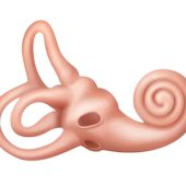 Ilustrasi gangguan pendengaran membuat kerusakan pada koklea di telinga