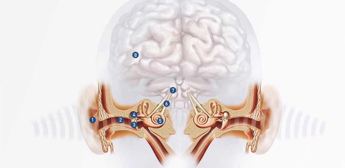 Diagnosis Gangguan Pemrosesan Pendengaran