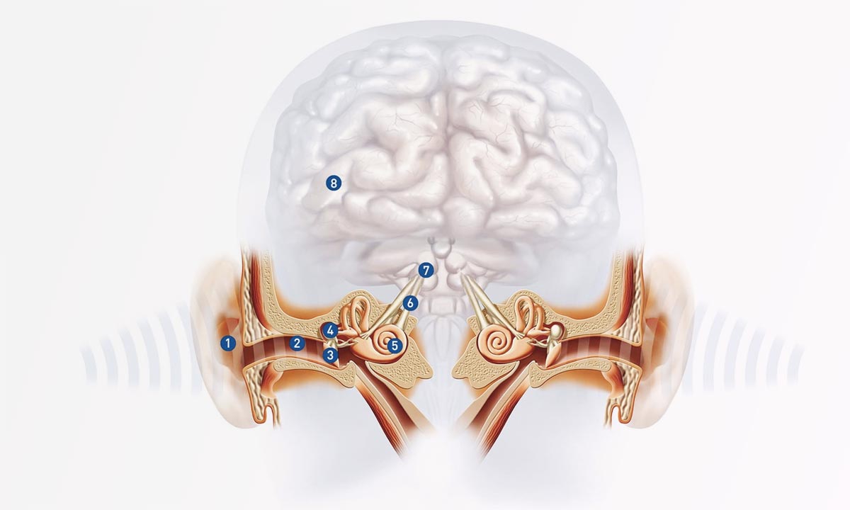 Diagnosis Gangguan Pemrosesan Pendengaran