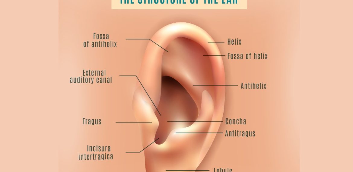 Microtia and Atresia Bisa Berdampak Gangguan Pendengaran